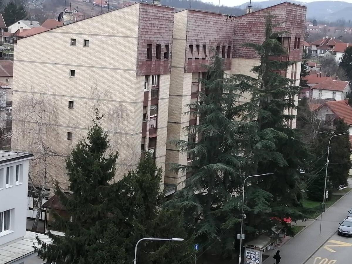 Apartman Vesna Banja Koviljača Exterior foto